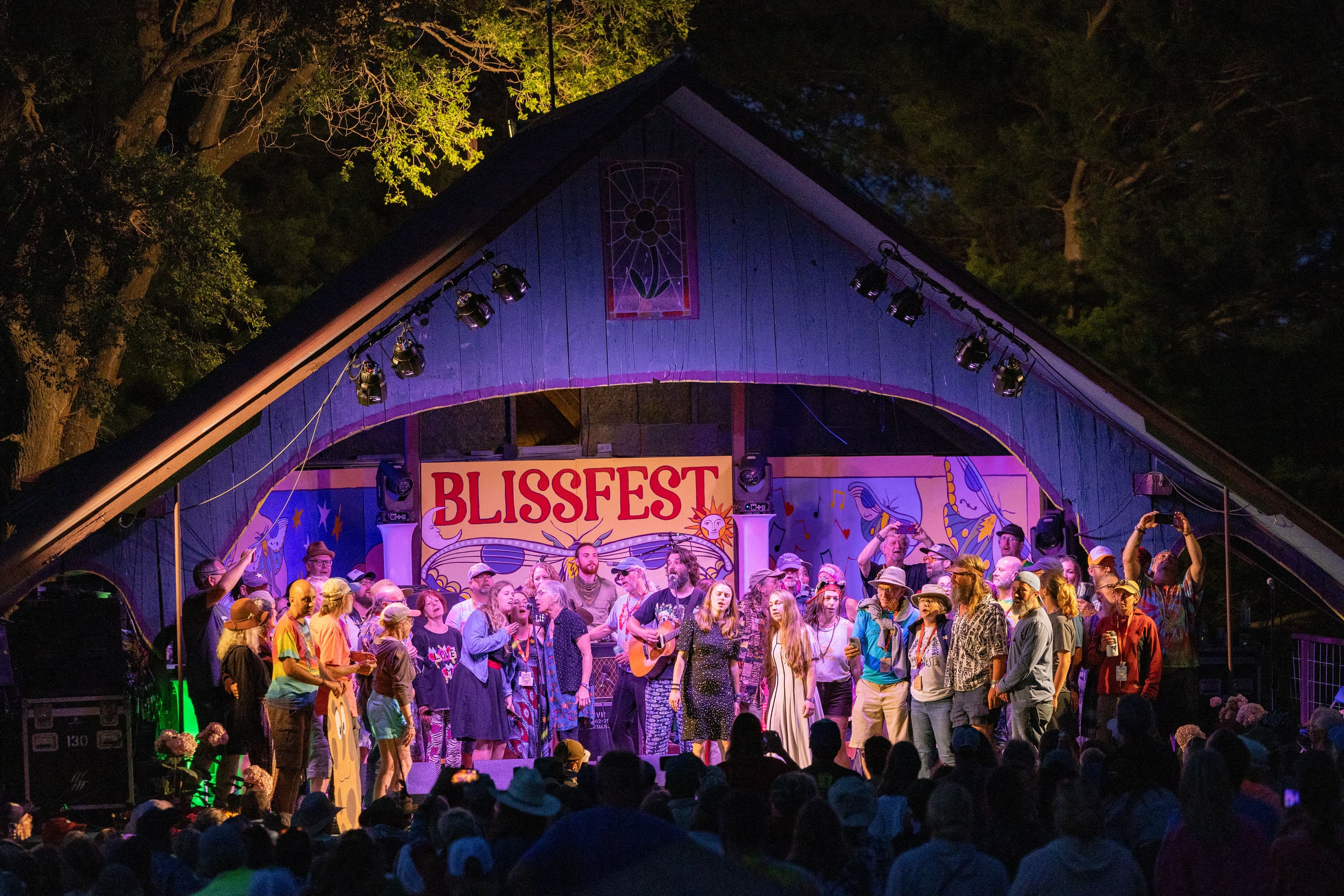 Blissfest Music Festival