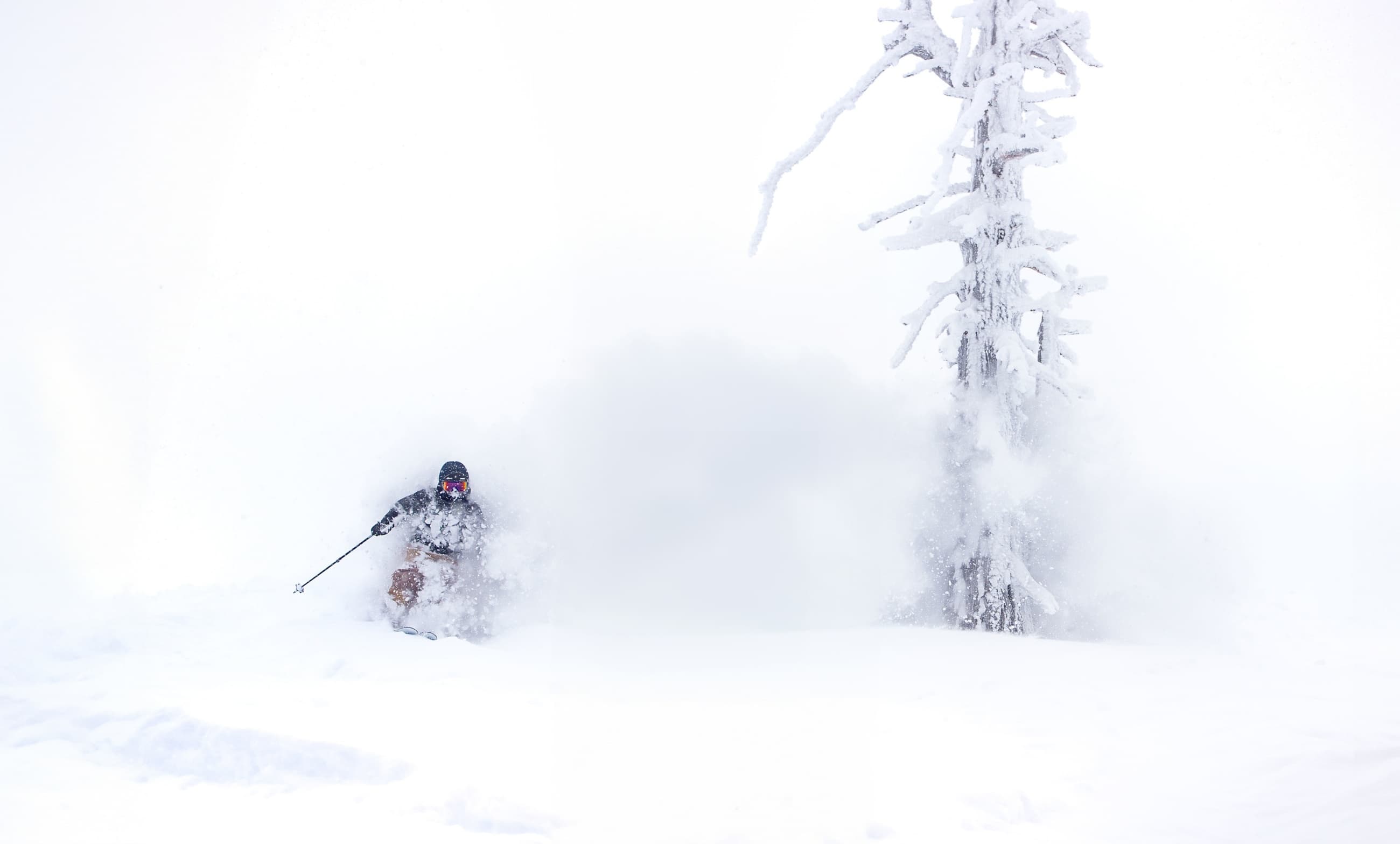 Targhee Fest
