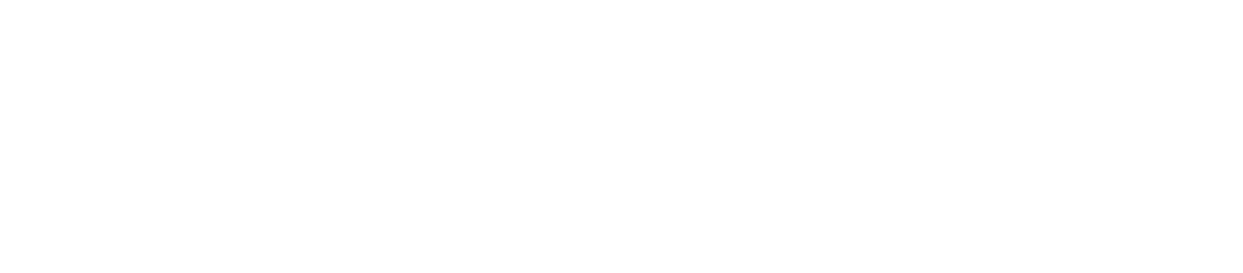 We Belong Here Brooklyn