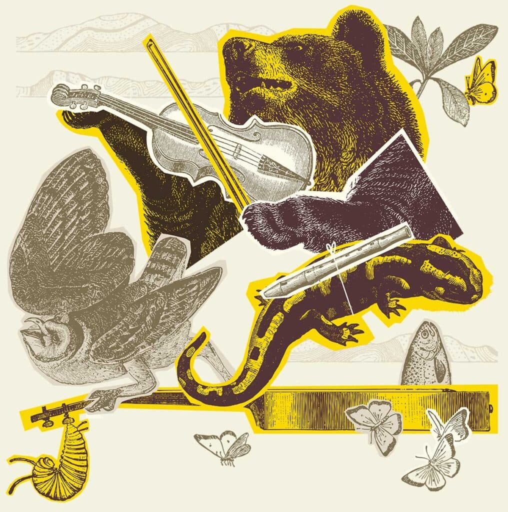 Bear Shadow Festival 2026 official poster