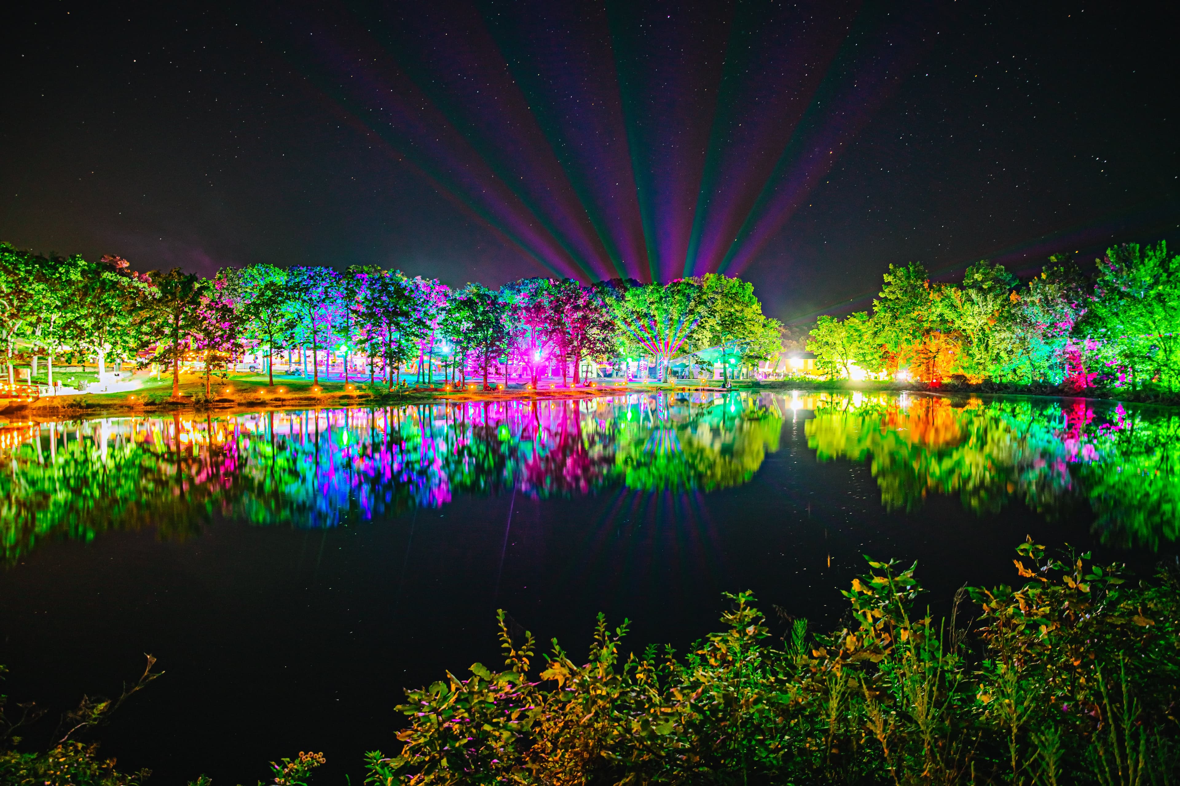 Dancefestopia